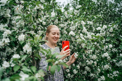 Girl in blooming apple tree using smartphone video call outdoor nature