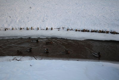 Scenic view of frozen lake during winter