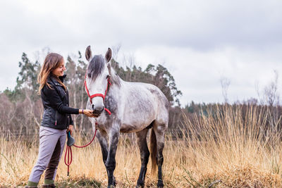 Horse standing on field against sky during autumn