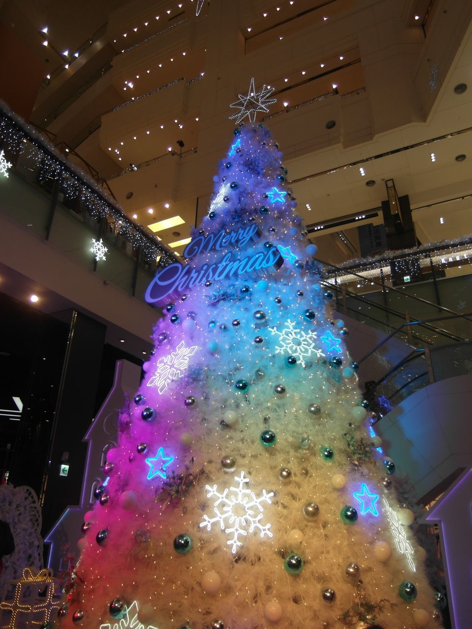 LOW ANGLE VIEW OF ILLUMINATED CHRISTMAS TREE IN CITY
