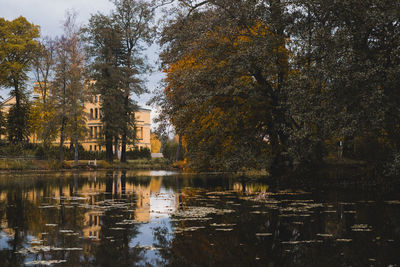 Trees by lake during autumn