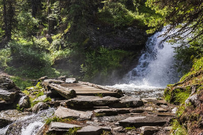 Scenic view of waterfall in forest