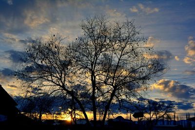 Low angle view of bare trees against sky at sunset