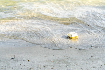 High angle view of crab on beach