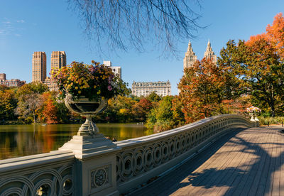 Trees in city against clear sky during autumn