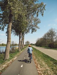 Rear view of woman riding bicycle on road by trees during sunny day