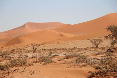 Scenic view of desert against clear sky