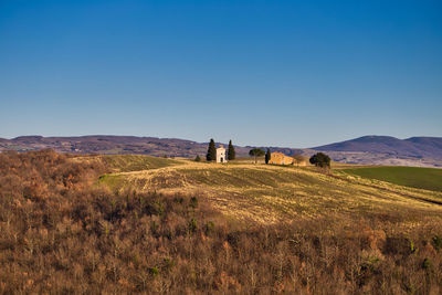 Scenic view of field against clear blue sky