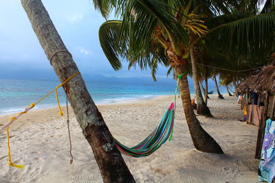 Palm trees on beach against sky