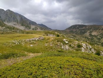 Scenic view of landscape against sky