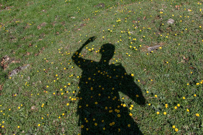 Shadow of person photographing on field