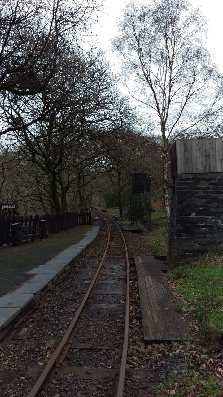 railroad track, the way forward, transportation, diminishing perspective, tree, rail transportation, vanishing point, bare tree, clear sky, straight, long, sky, railway track, day, public transportation, outdoors, no people, built structure, nature, empty