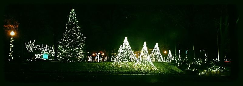 Illuminated christmas tree at night