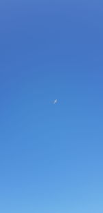 Low angle view of bird flying in sky