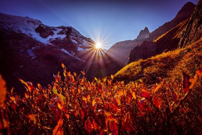 Scenic view of mountains against sky during autumn