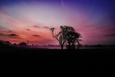 Silhouette of trees at sunset