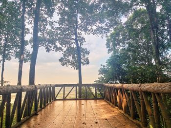 Footpath amidst trees against sky