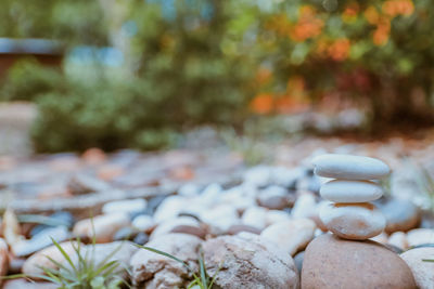 Close-up of stones on rock