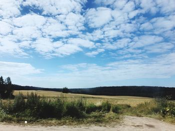 Scenic view of field against sky