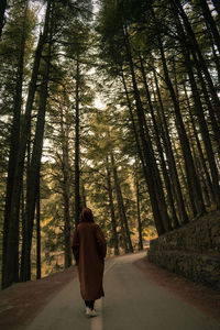 Rear view of man walking on road in forest