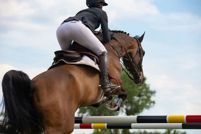 Horse jumping, equestrian sports, show jumping competition themed photograph.