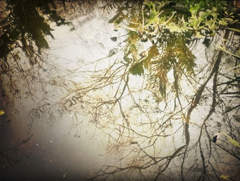 water