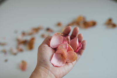 Close-up of hand holding ice cream