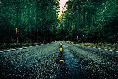 Road amidst trees in forest