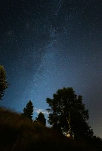 Low angle view of trees against sky at night