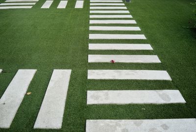High angle view of zebra crossing on road