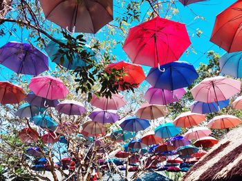 Low angle view of multi colored umbrellas hanging on tree