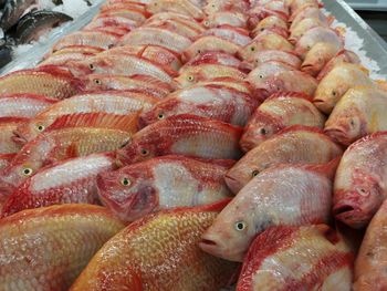 Full frame shot of fish for sale in market