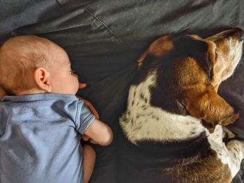 Full length of cute baby boy and basset hound