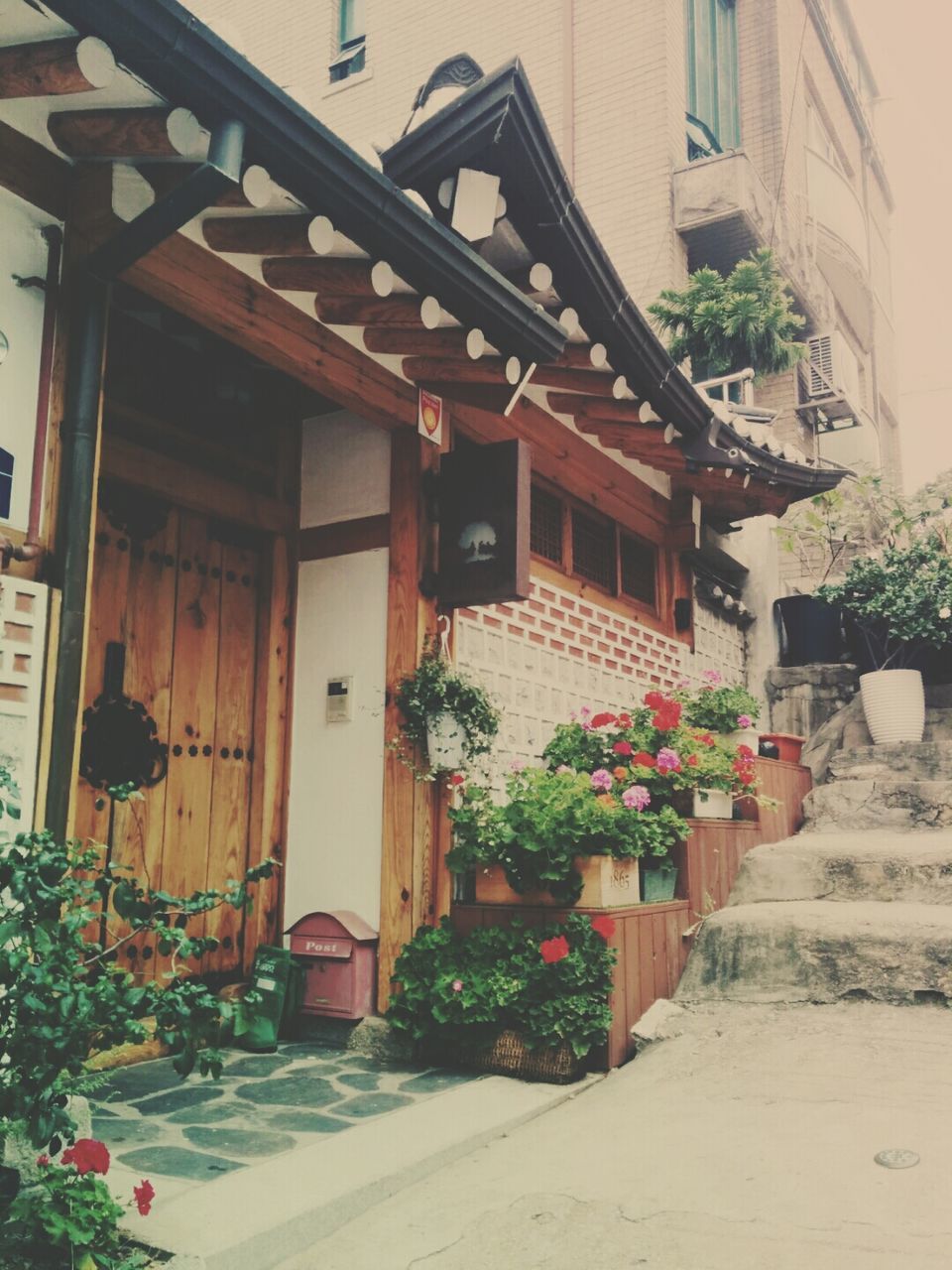 building exterior, architecture, built structure, potted plant, plant, house, growth, residential structure, flower, residential building, day, outdoors, sunlight, front or back yard, balcony, no people, freshness, flower pot, building, window