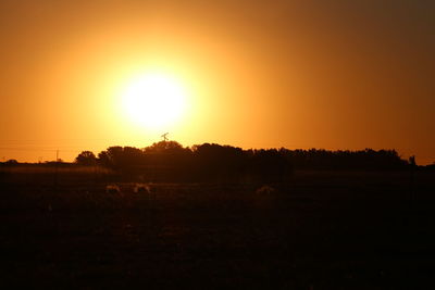 Silhouette trees on field against orange sky