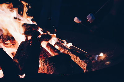 Close-up of bonfire