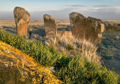 Close-up of rock formations