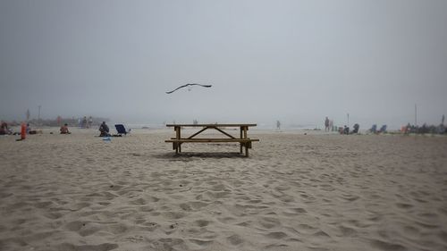 View of seagulls on beach