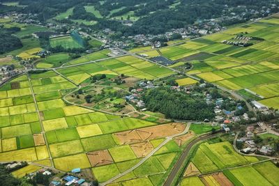 High angle view of agricultural field