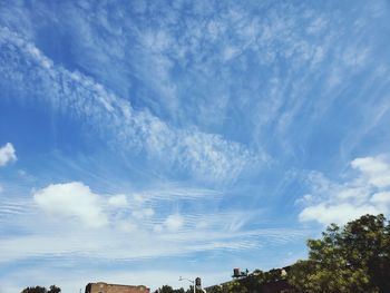 Low angle view of trees against blue sky