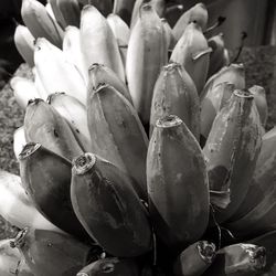 Close-up of vegetables for sale at market stall