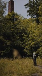 Rear view of man on field against trees