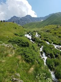 Mountain georgia juta