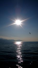 Silhouette birds flying over sea against sky during sunset