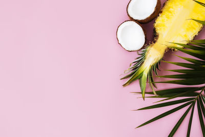 High angle view of pink flowers on table