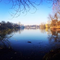 Reflection of trees in calm lake