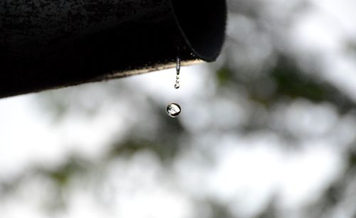 Close-up of water drops on spider web