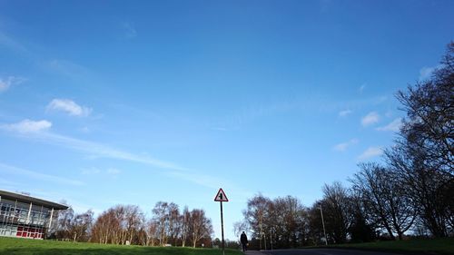 Low angle view of bare trees against blue sky on sunny day