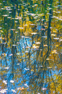 Full frame shot of yellow water surface