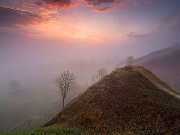 Scenic view of landscape against sky during sunset